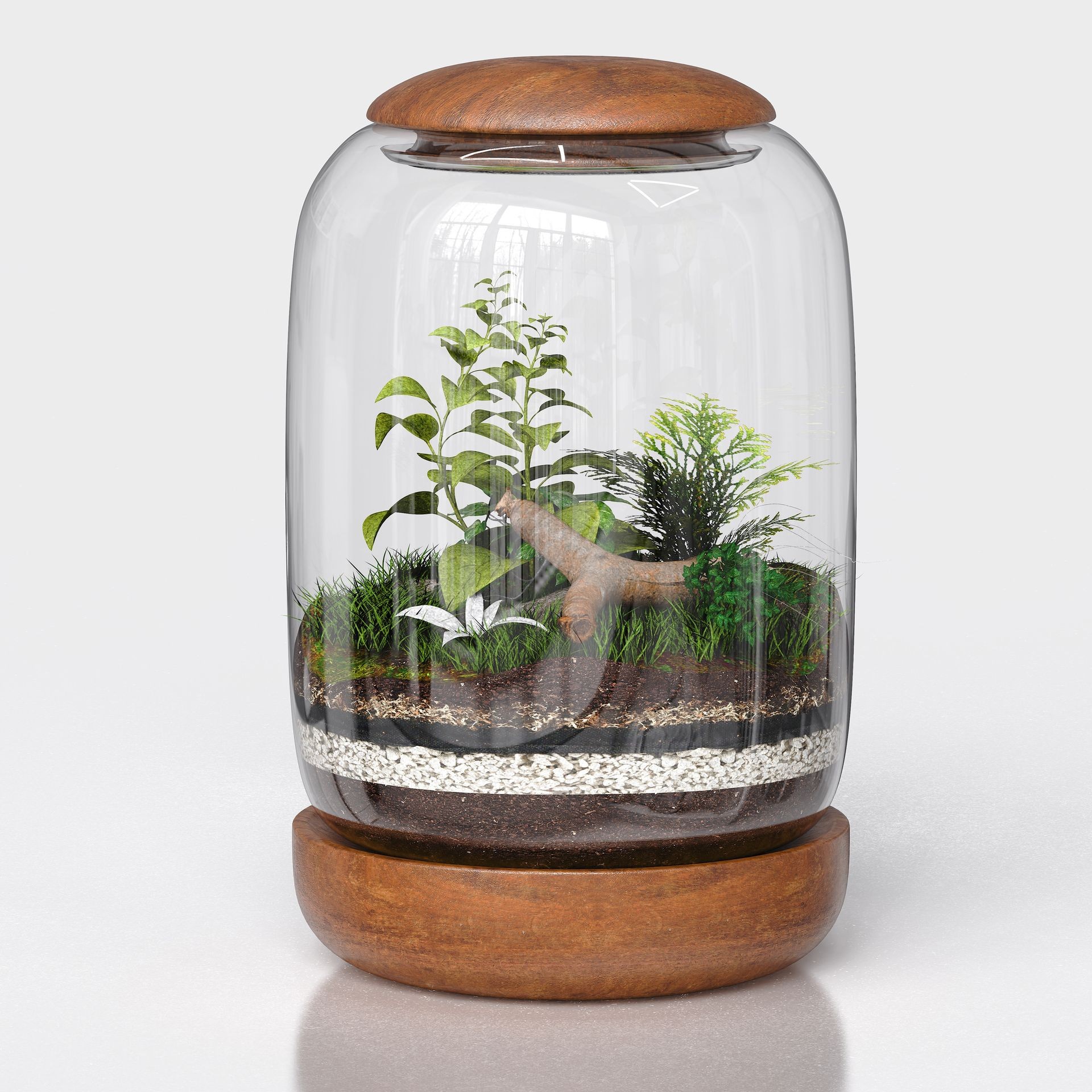 Exclusive Glass Terrarium