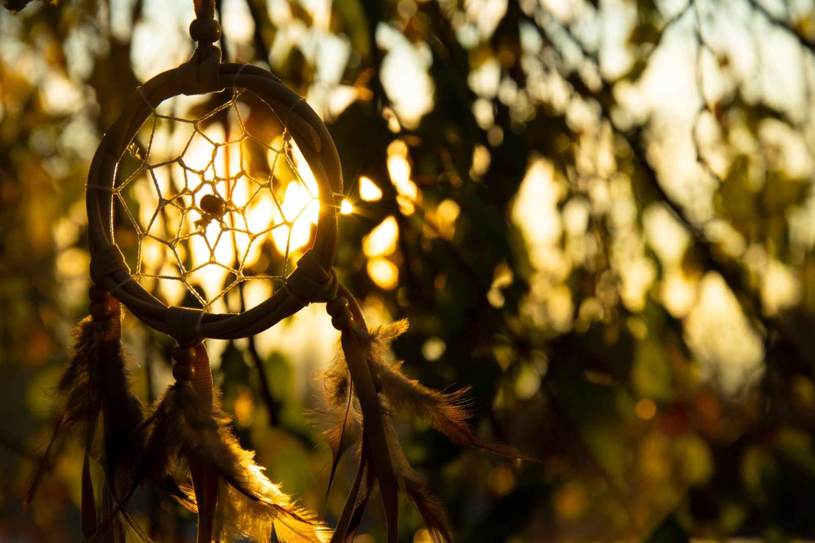 weaving dream catcher