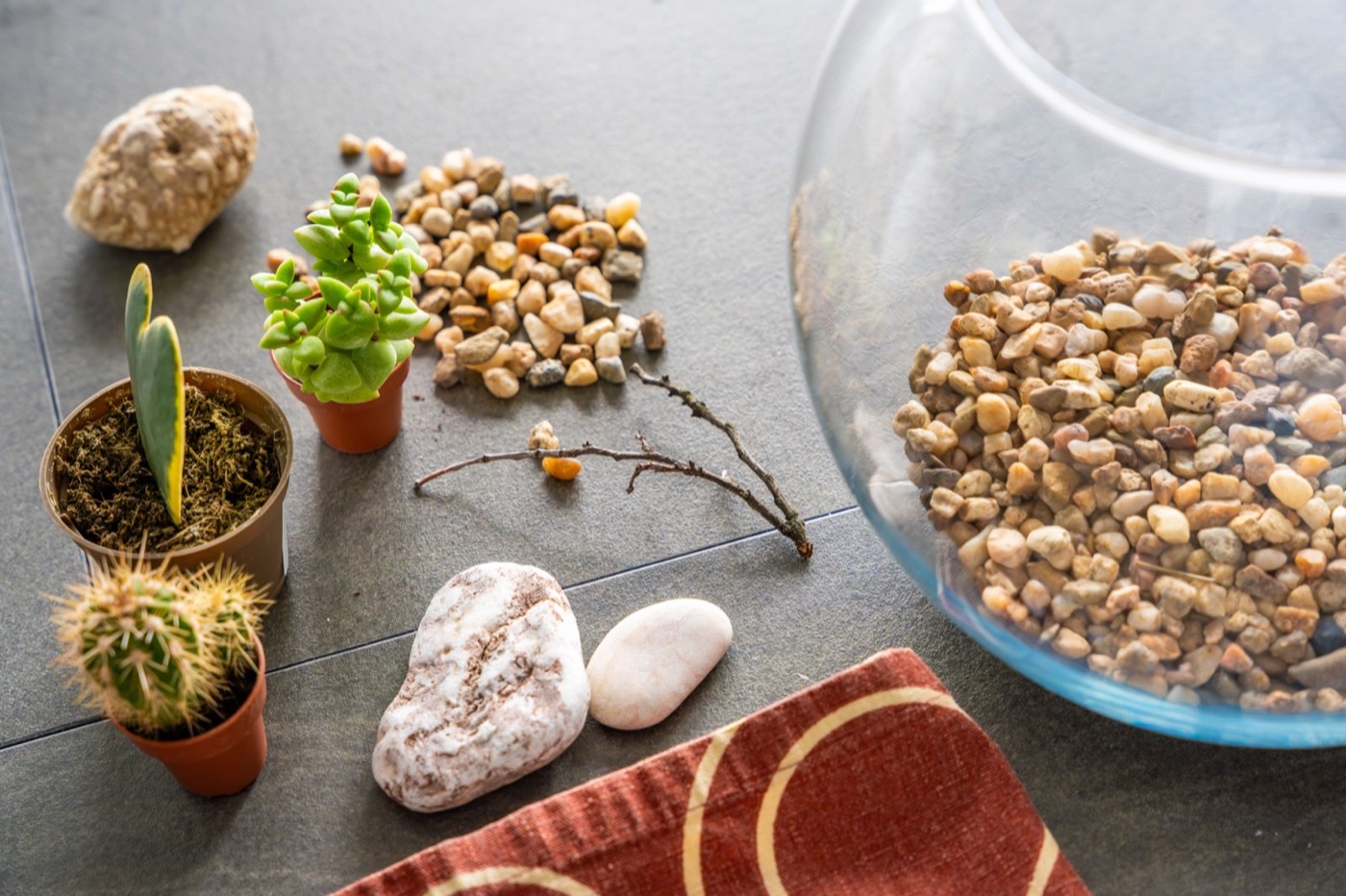 glass terrarium