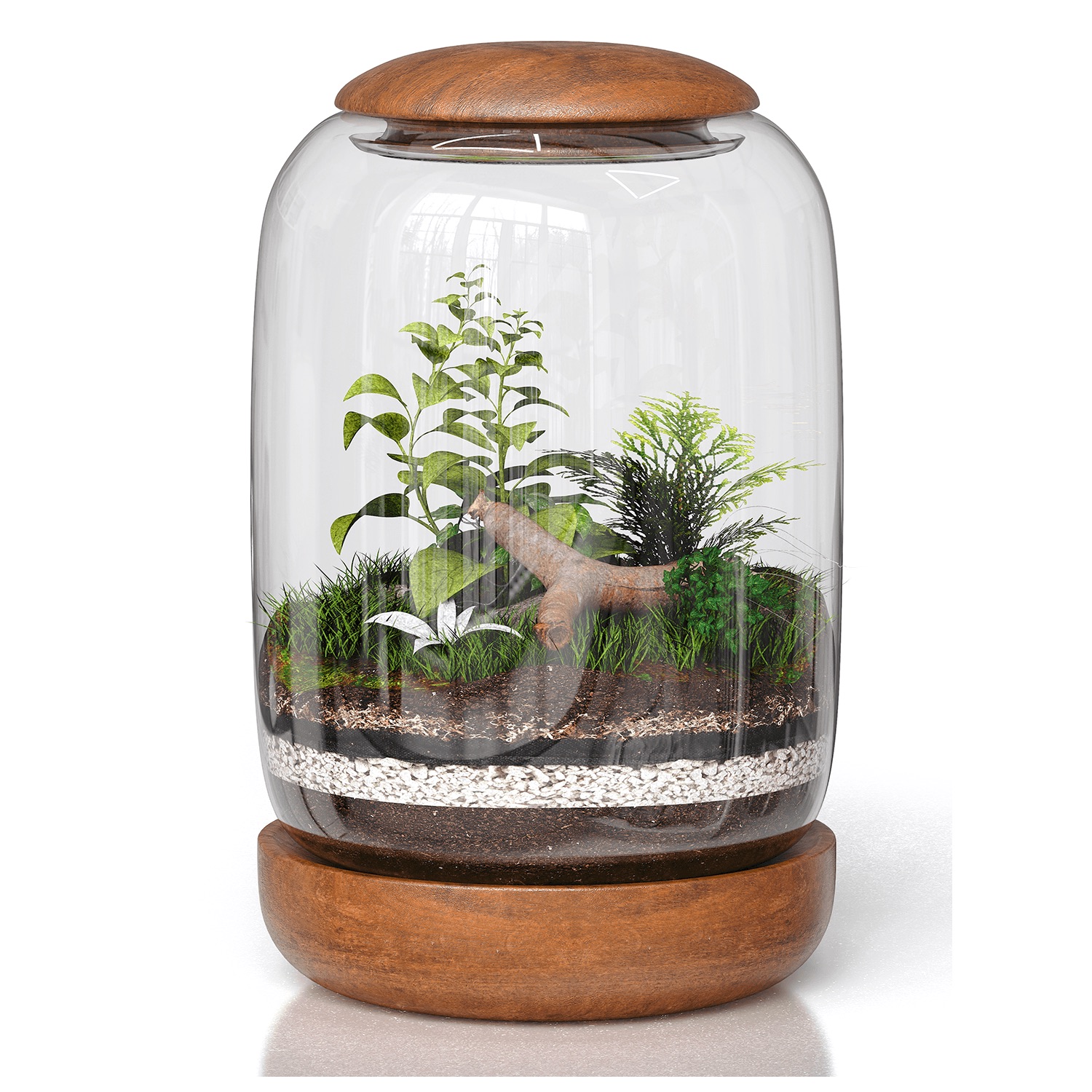 planting terrarium